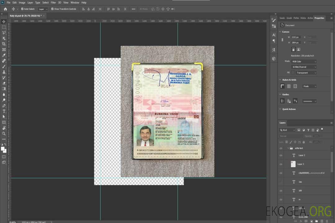 Regard photo sur le pass du Burkina Faso (2018-présent) template
